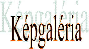 Képgaléria